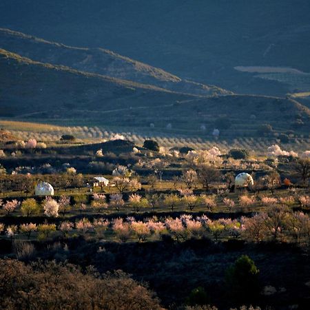 Hotel Mirador De Pideago - Gratal Y Nabiella Bolea Exteriér fotografie